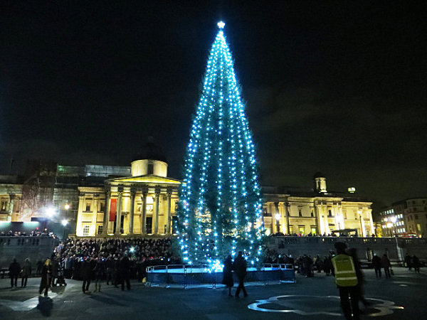 Trafalgar-Square-Christmas-tree