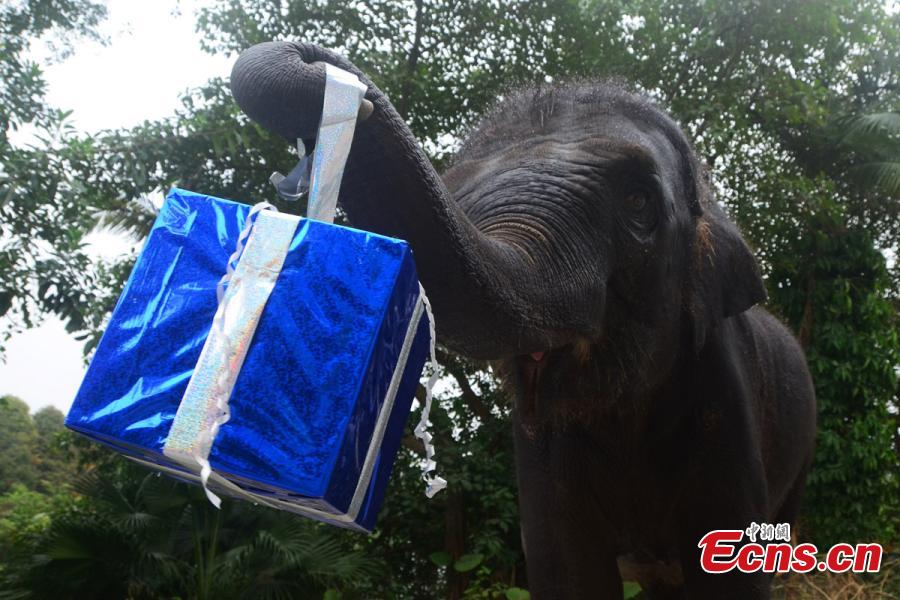 133878357_14194875635511n