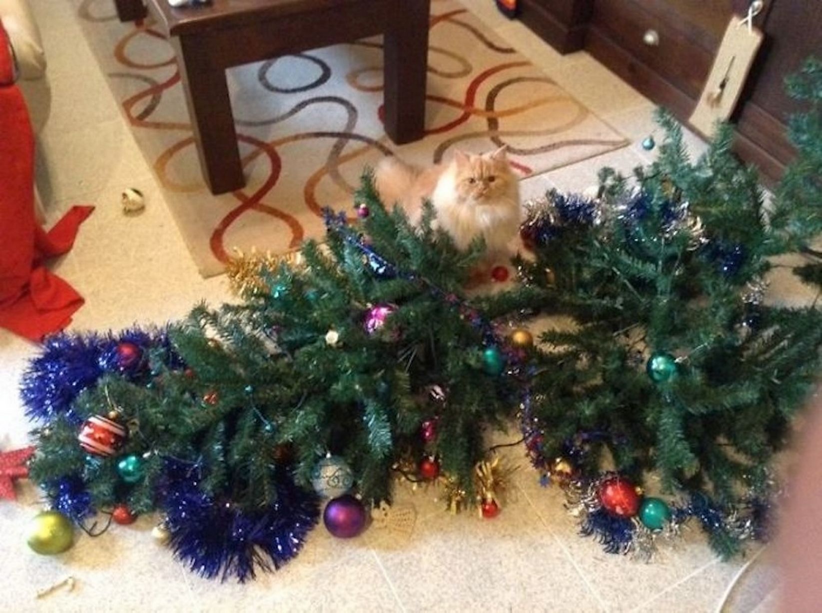 PAY-Cats-and-dogs-that-destroy-Christmas