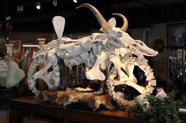 Florida-man-manufactures-Cowasaki-motorcycles-out-of-animal-bones
