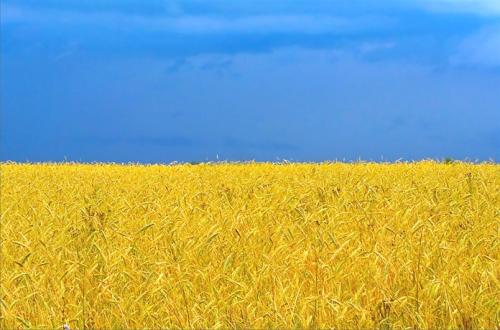 Flag_ukr