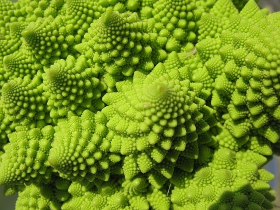 Romanesco-broccoli2-550x412