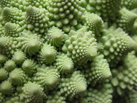 Romanesco-broccoli5-550x412