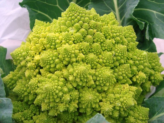 Romanesco-broccoli-550x412