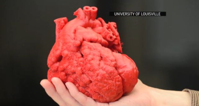 3dprinted-heart