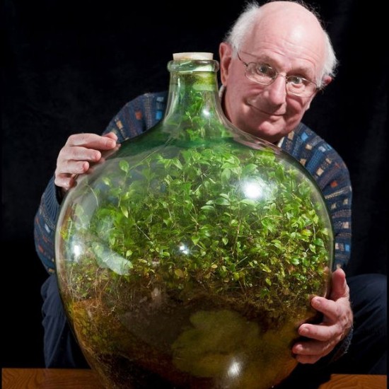old-bottle-garden-550x550