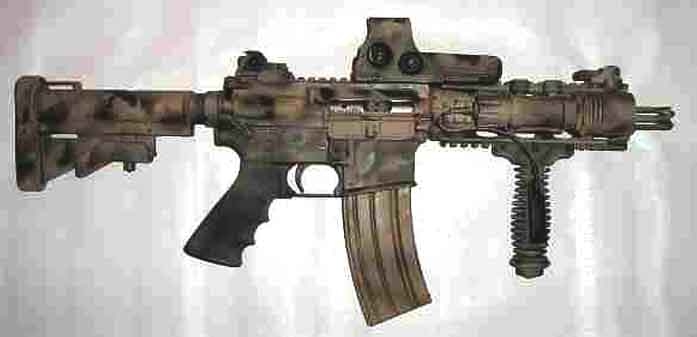 M16 Viper with the Coyote Ugly Finish, by M16 Clinic
