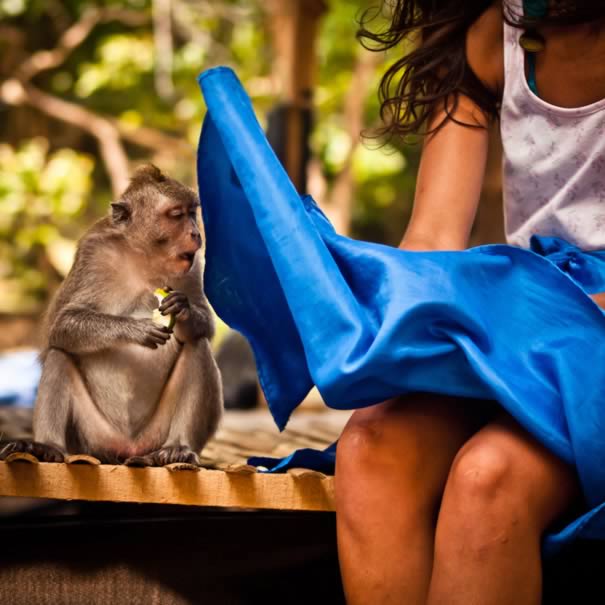 a98977_timing_5-monkey