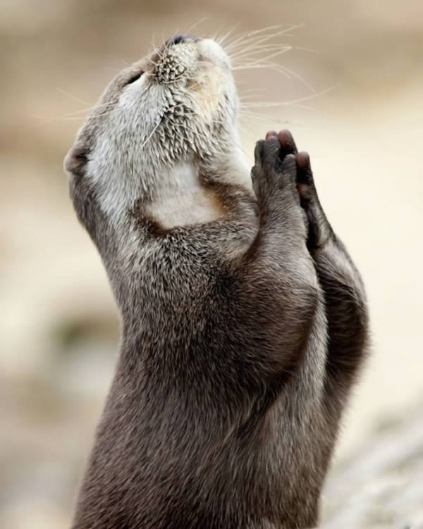 a98977_timing_6-praying