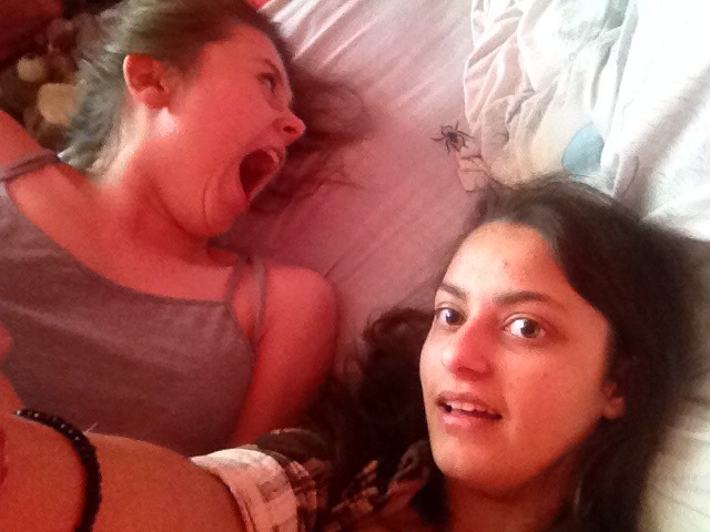 BpFf7r1IcAELrwJ
