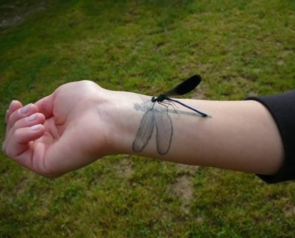a98977_timing_8-dragonfly