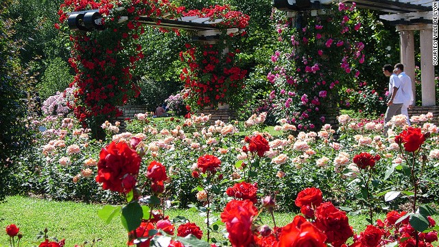 140529162116-europe-rose-gardens-lyon-horizontal-gallery