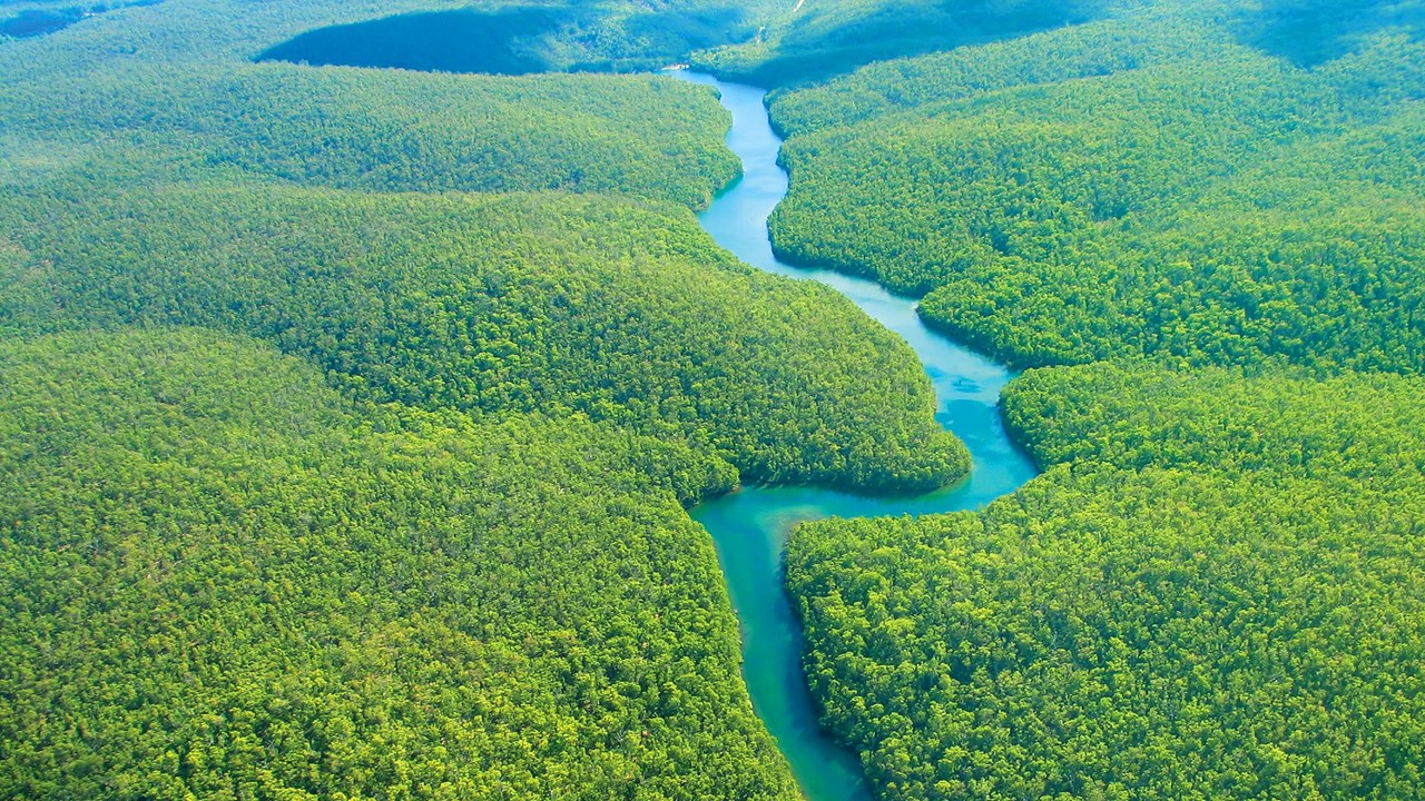 amazon-rainforest-hero