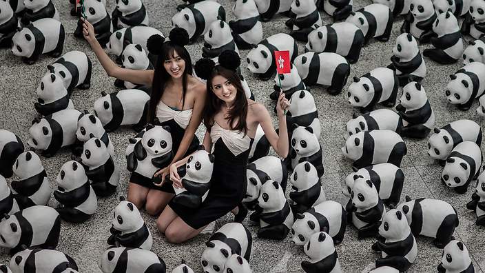panda_hk_140609_aap