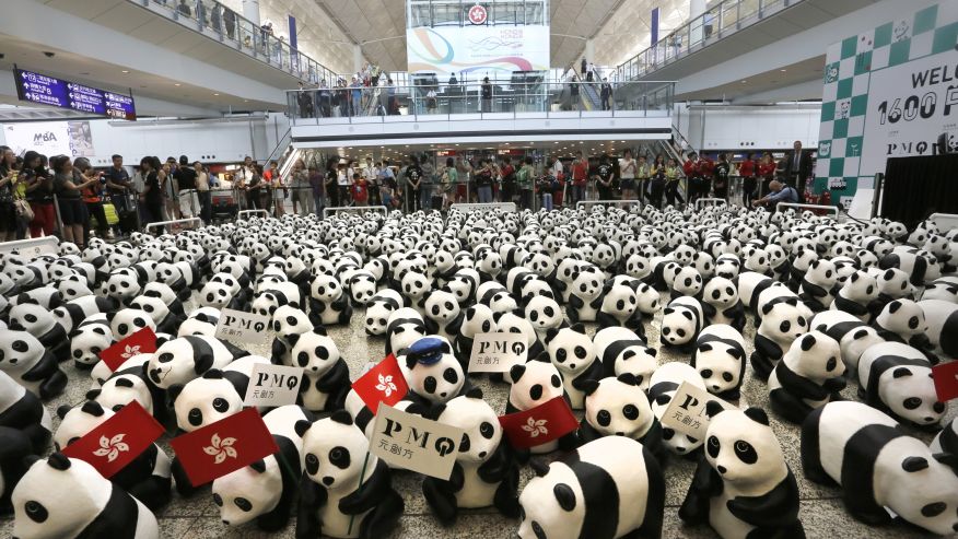 Hong Kong Panda Tour_Leff