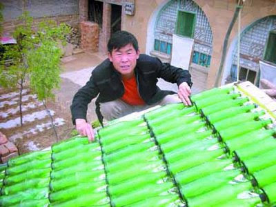 Extraordinary and Things Made Recycled Bottles 5
