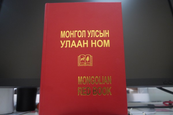 улаан улаан