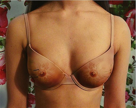 female_anatomy_bra_2982338c
