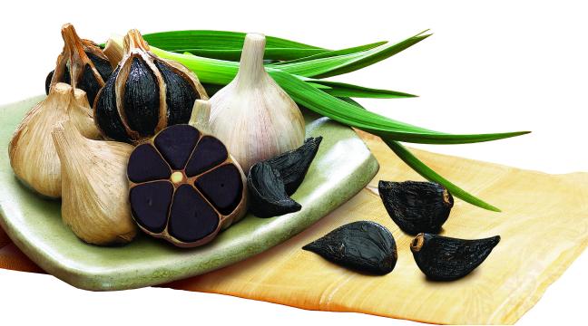 UI_SEONG_Black_Garlic_Farming