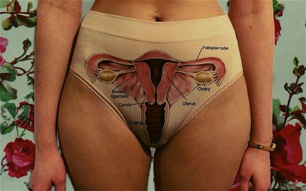 female_anatomy_pan_2982334b