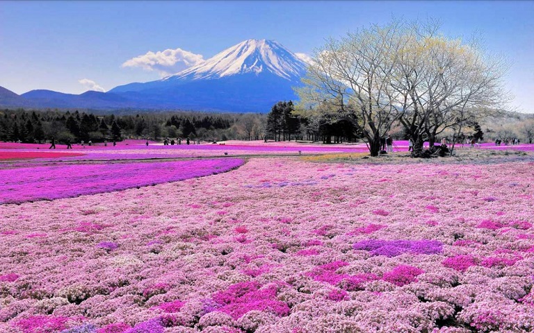 Unbelievable-Photo-of-Mt-Fuji-in-Japan