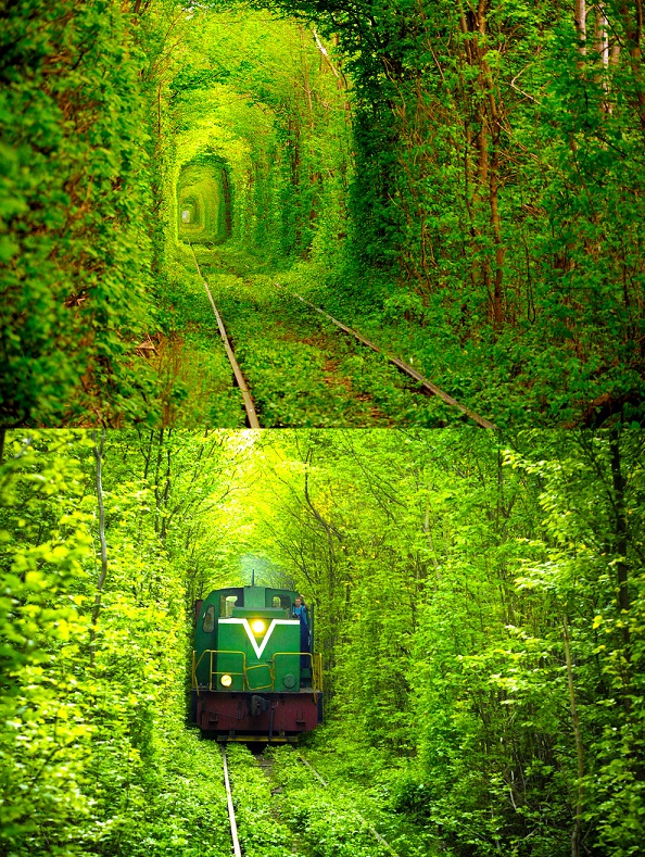 The-Natural-Train-Tunnel-The-Love-Tunnel-Ukraine