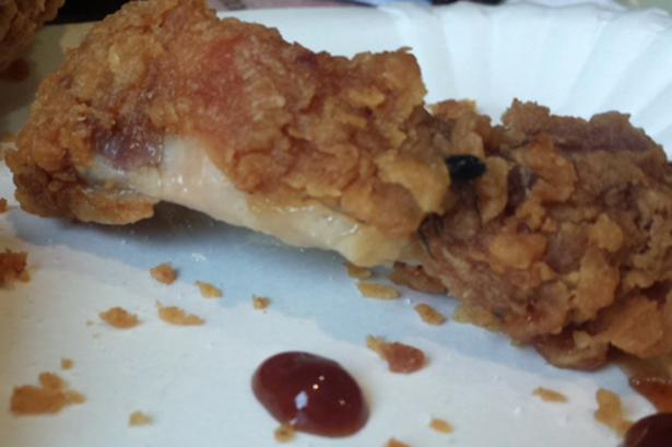 Fly-in-KFC-chicken