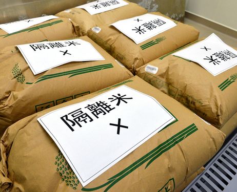 rice