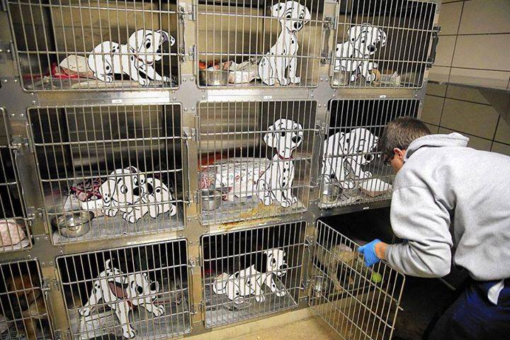 10703619_710504492329938_3834823004008035610_n