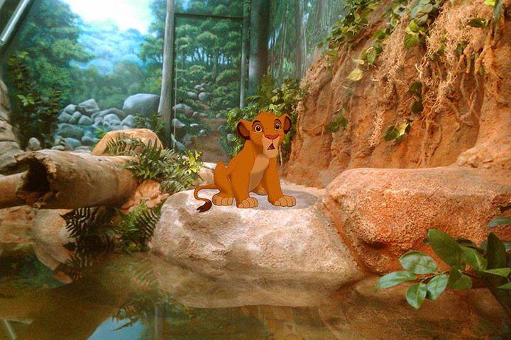 10703619_710504492329938_3834823004008035610_n