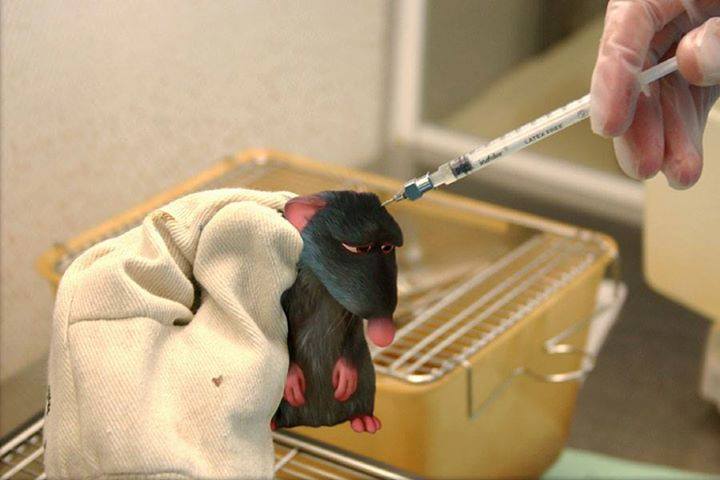 10703619_710504492329938_3834823004008035610_n