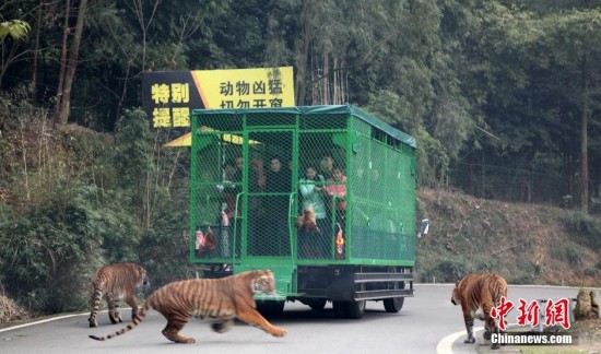 unique-zoo-experience1-550x342