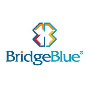 BridgeBlue MONGOLIA