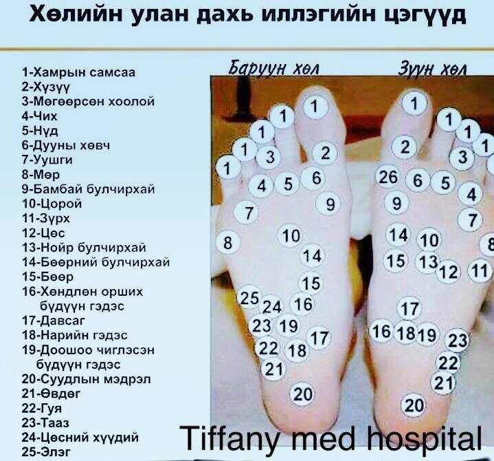ХӨЛИЙН ТАВХАЙД ИЛЛЭГ ХИЙХ НЬ ХОРТ ХАВДРААС УРЬДЧИЛАН СЭРГИЙЛДЭГ