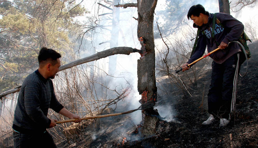 22 wildfires rage on throughout Mongolia