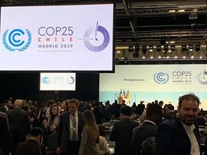 UGS participates in COP 25 in Madrid