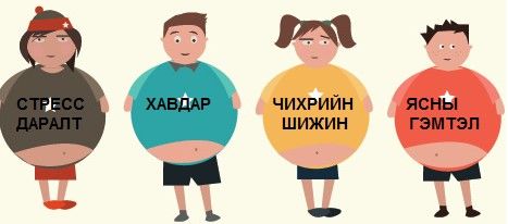 Илүүдэл жин, таргалалт нь зөвхөн насанд хүрэгчдэд хамаатай асуудал гэж үү?