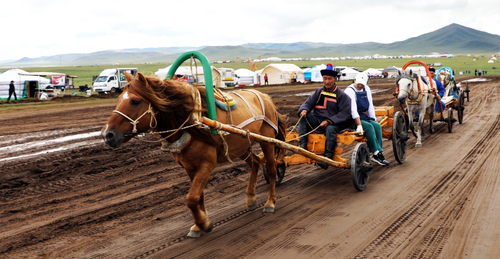 unuudur/image/2025/08/25/2x0qphko1bmkrg1e/3M9A1710