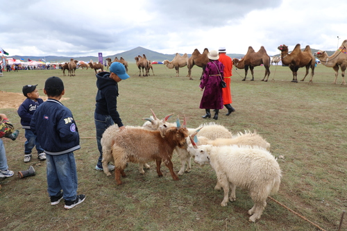 unuudur/image/2025/08/25/br501demwh4zx607/3M9A1820