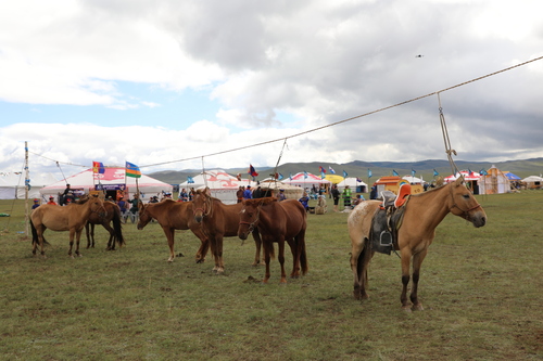 unuudur/image/2025/08/25/q35ikypzha31o0rs/3M9A1829