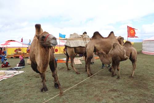 unuudur/image/2025/08/25/xdkiieq5lf9a2m7v/3M9A1825