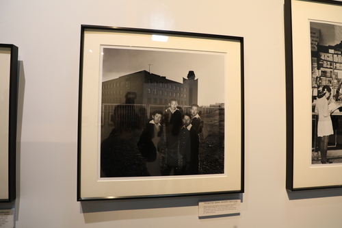 unuudur/image/2025/10/13/e0o3vnpzjzpf9aox/3M9A6944