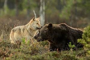 /24tsag/images/2015/11/5419405823e2b3f2199e045041b3b507/2k3505g8v2mfp1j7g4a10r7d87