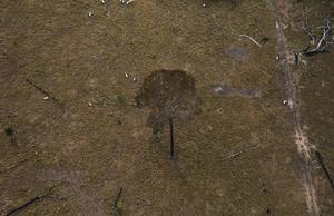 /24tsag/images/2015/11/7288c9e39b0897b434226bd65526d80b/3ih34u76o8iuq388jbqpaidm0b