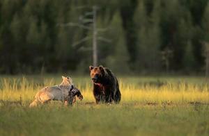 /24tsag/images/2015/11/be3ab23133c6cbd1fccd205578ca514/bseli64psdiuhvj6i0lbop98k