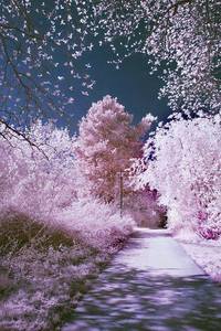 /24tsag/images/2015/4/328f83f44bd58d693f3b089fb23627d/353s3uh5tb3b97stgh7ti6ojt