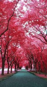 /24tsag/images/2015/4/4465f9ef4634a77e178950c8364738f2/24cnsuuhhkktv1f2agp0r4ee7i