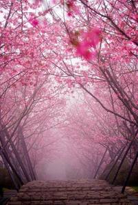/24tsag/images/2015/4/af96c0c362a4c9827715c2a5e331752d/5fir0c6ol4p617e5e2knhj2t9d