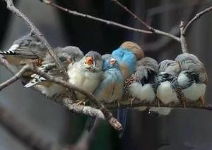 /24tsag/images/2015/5/445ec701c5c18b729d1d84842a8b1c24/24br3g3he1hdp9q7c4ggl8m714