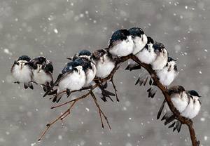 /24tsag/images/2015/5/91b3592a051d70f47db7dc8a5d810c2a/4hmdcik18te3q7rdush9eo231a